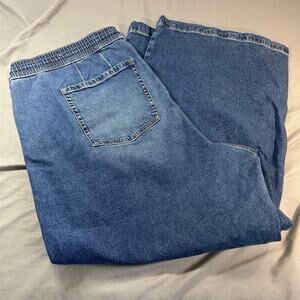 Lane Bryant Women's Pull On Elastic Waist Jeans size 26